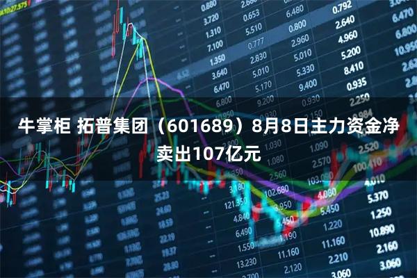 牛掌柜 拓普集团（601689）8月8日主力资金净卖出107亿元