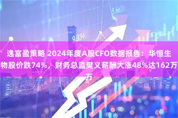 逸富盈策略 2024年度A股CFO数据报告：华恒生物股价跌74%，财务总监樊义薪酬大涨48%达162万