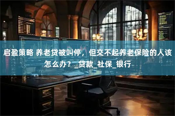 启盈策略 养老贷被叫停，但交不起养老保险的人该怎么办？_贷款_社保_银行