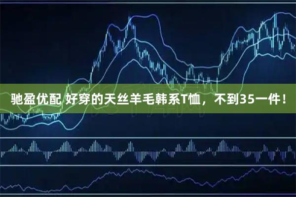 驰盈优配 好穿的天丝羊毛韩系T恤,不到35一件!