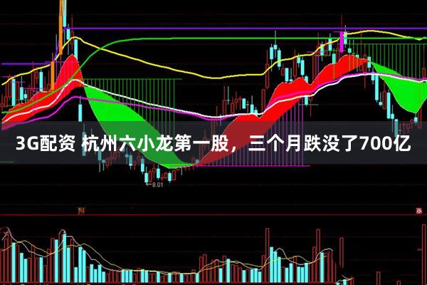 3G配资 杭州六小龙第一股，三个月跌没了700亿
