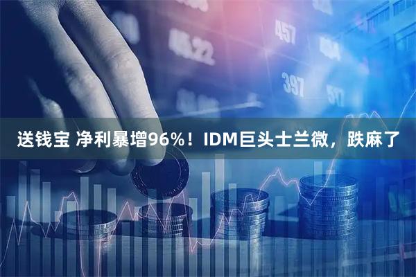 送钱宝 净利暴增96%！IDM巨头士兰微，跌麻了